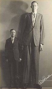 220px-Robert Wadlow