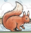 The Squirrel