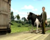 Farmer McColl's Prize Cow