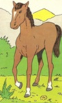 The Horse