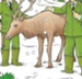 The Reindeer