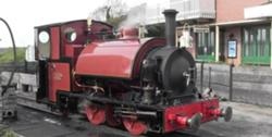 Sir Haydn