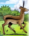 The Antelope