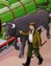 Lord Harry (Bull)