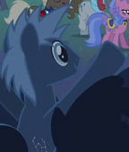 Star Hunter Earth pony id S02E26