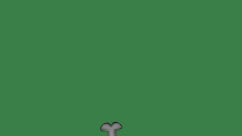 Webp.net-gifmaker (1)