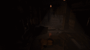 Meat Freezer run