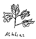 Athlias