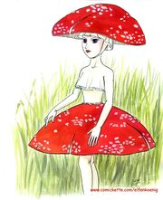 Fliegenpilz