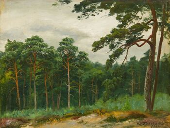 Waldlandschaft
