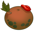 rare thumpies breeding rare thumpies breeding