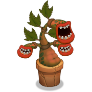 Rare Potbelly