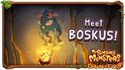 MeetBoskus