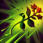 Heartbreak Grass