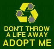 Adoption