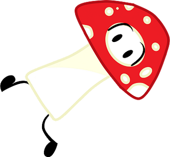 Toadstool Tripping