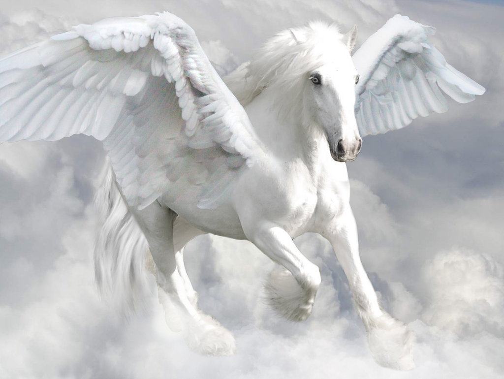 Pegasus Mythical Creatres Wikia Fandom Powered By Wikia