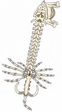 Skeleton keyblade by amaquieria-d33eg7w