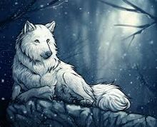 Boncuar wolf form