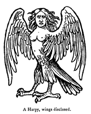 Harpy Mythology Wiki Fandom
