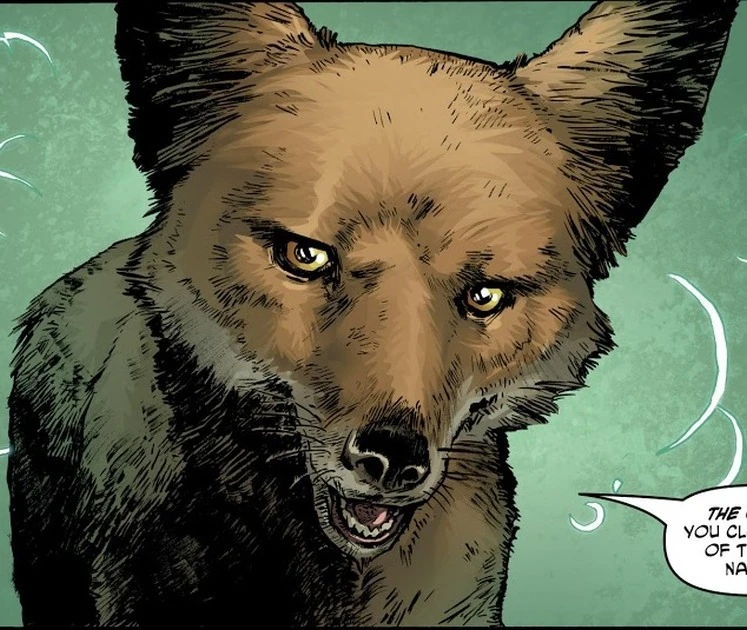Coyote | Mythology wiki | Fandom