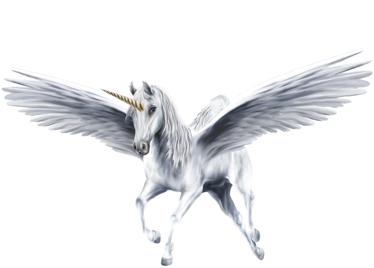 alicorn mythology wiki fandom powered by wikia