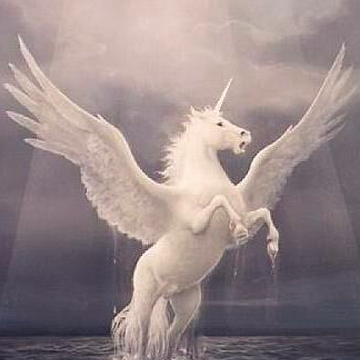 Winged Unicorn Mythology Wiki Fandom