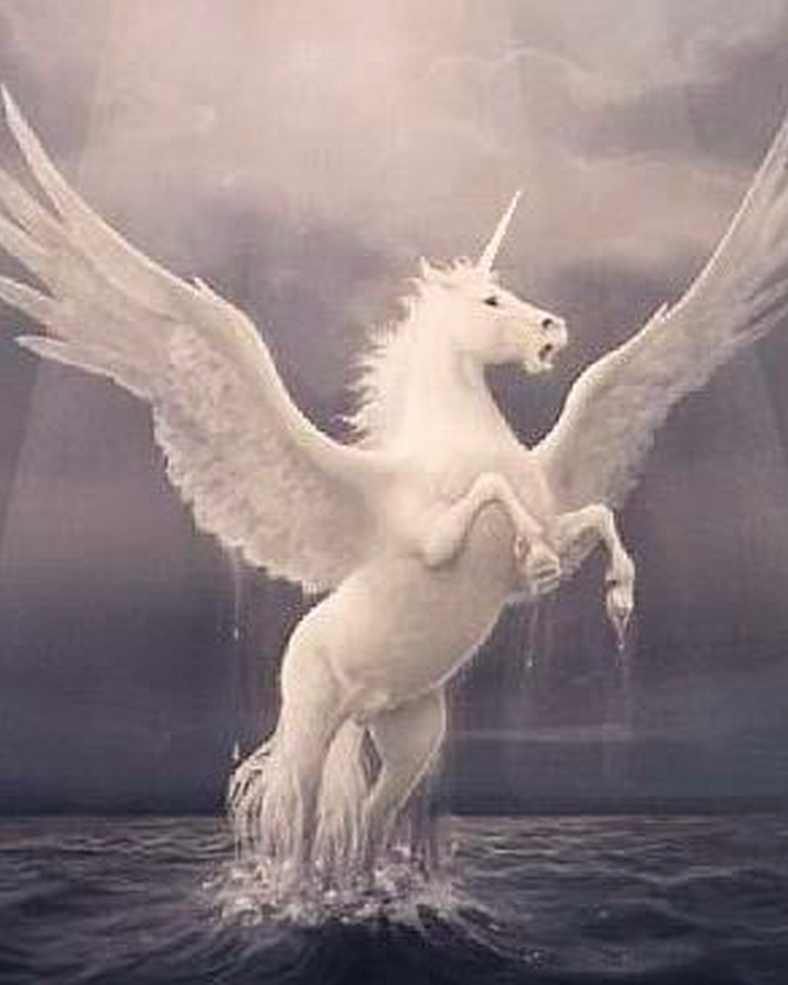 Winged Unicorn Mythology Wiki Fandom