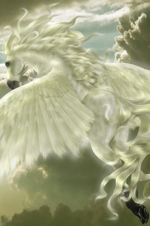 Pegasus Pegasus