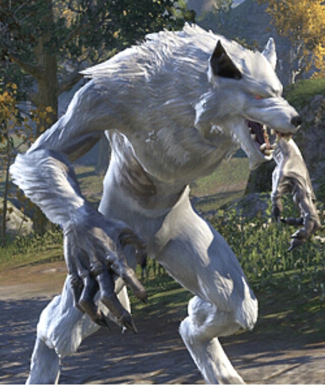skyrim werewlof simbl skyrim werewlof simbl