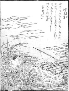 Kawa akago 1