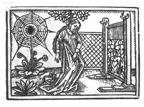 Arachne-gray