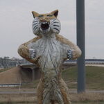 The Cherokee Death Cat Mythology Wiki Fandom