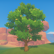 Cinnamon Tree