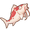 Koi Fish