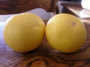 Grapefruit