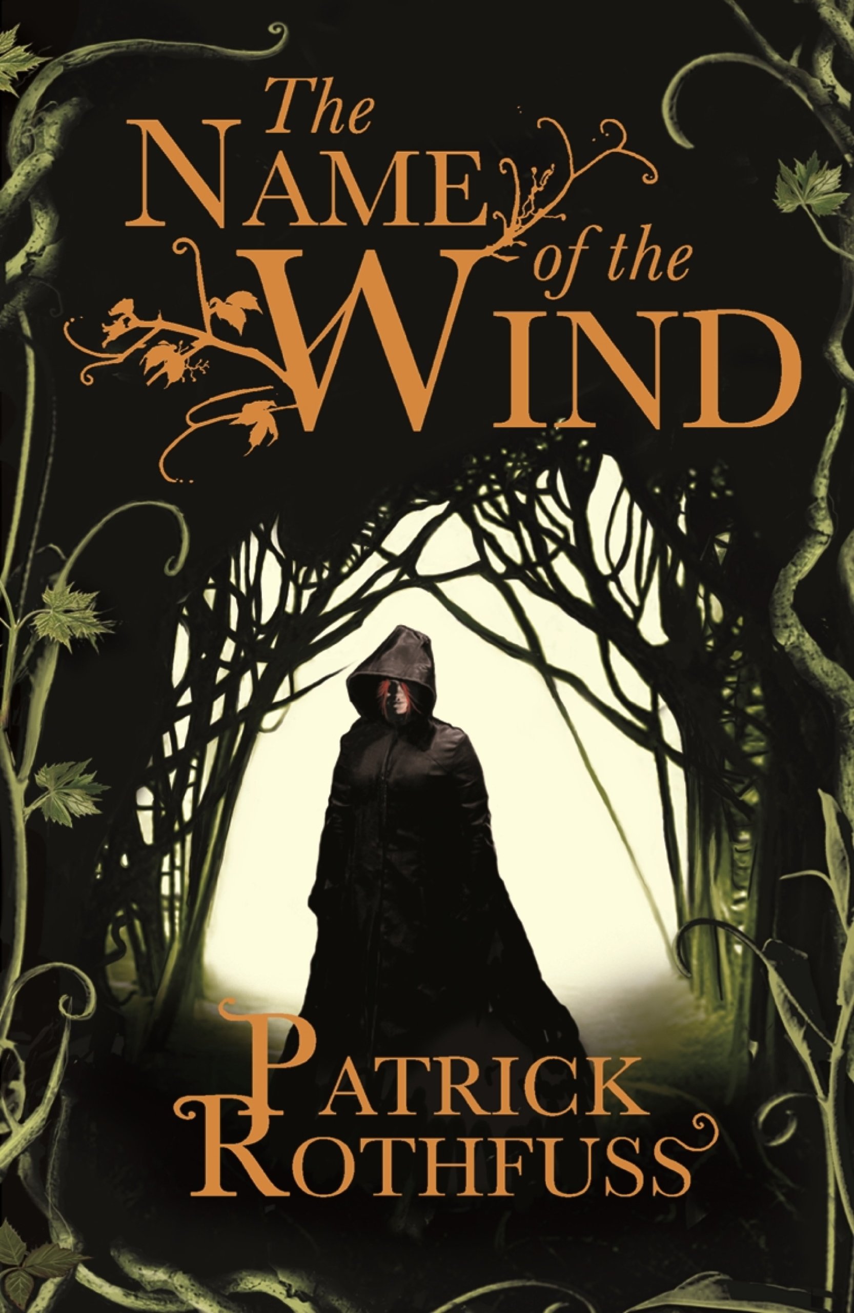 The Name Of The Wind Kingkiller Chronicle Wiki Fandom