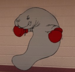 Fighting Manatee