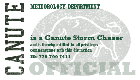 Canute id card