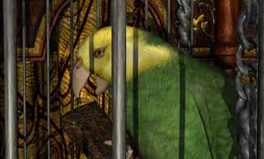 Images (4)