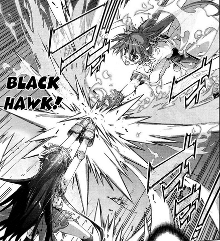 File:BlackHawk.png