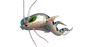 Giga Siren 1.0