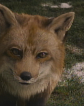 Mr Fox The Chronicles Of Narnia Wiki Fandom