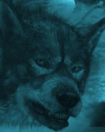 Maugrim The Chronicles Of Narnia Wiki Fandom