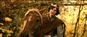 180px-Edmund horse