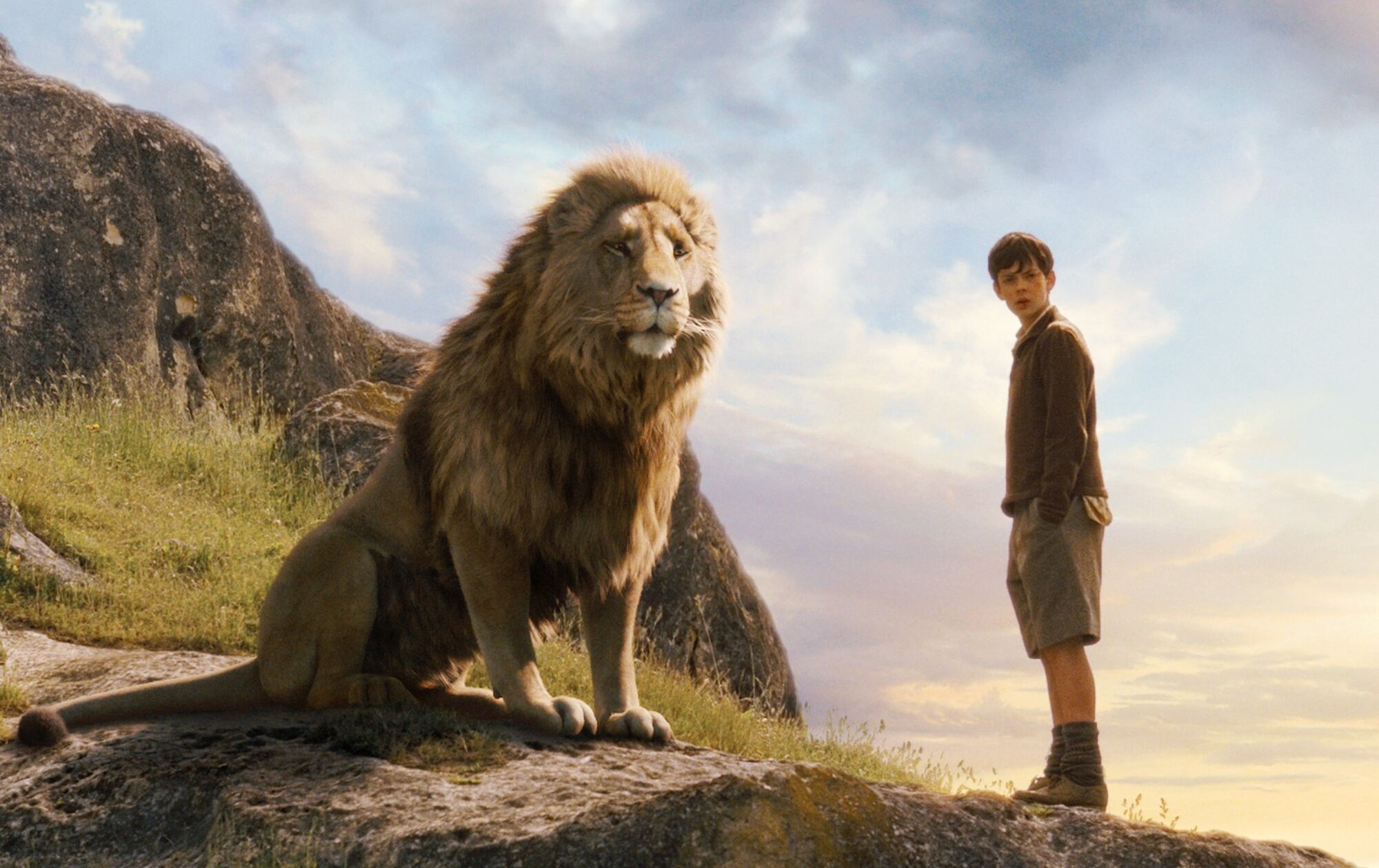 Opis Aslana Opowieści Z Narnii Image - Edmund aslan.jpg | The Chronicles of Narnia Wiki | FANDOM