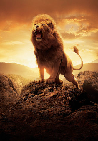 Aslan The Chronicles Of Narnia Wiki Fandom