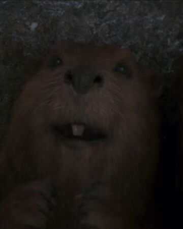 Mrs Beaver The Chronicles Of Narnia Wiki Fandom