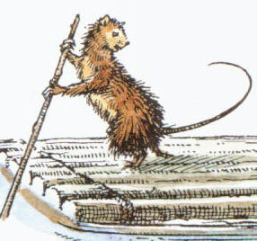 Waterrat
