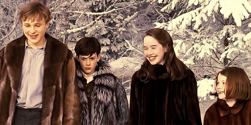 Hero S Journey Narnia Hero S Journey Narnia Blog Post